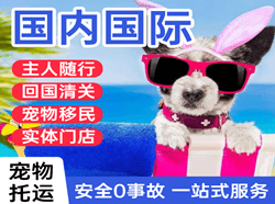 且末玉都机场邮寄国际宠物托运 【国